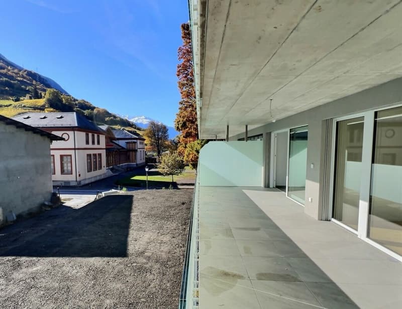 Spacieux 3,5p avec grande terrasse de 30m2 (5)