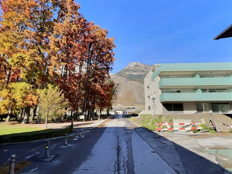 Spacieux 3,5p avec grande terrasse de 30m2 (3)