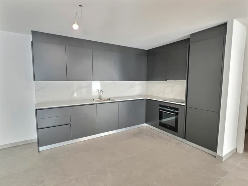 Spacieux 3,5p avec grande terrasse de 30m2 (9)