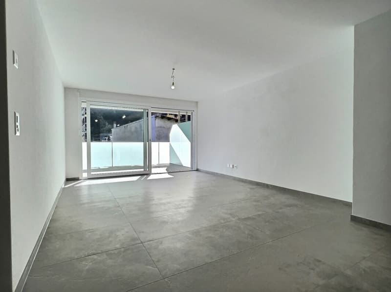 Spacieux 3,5p avec grande terrasse de 30m2 (10)