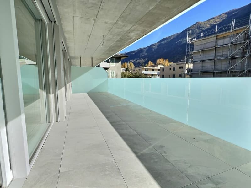 Spacieux 3,5p avec grande terrasse de 30m2 (6)
