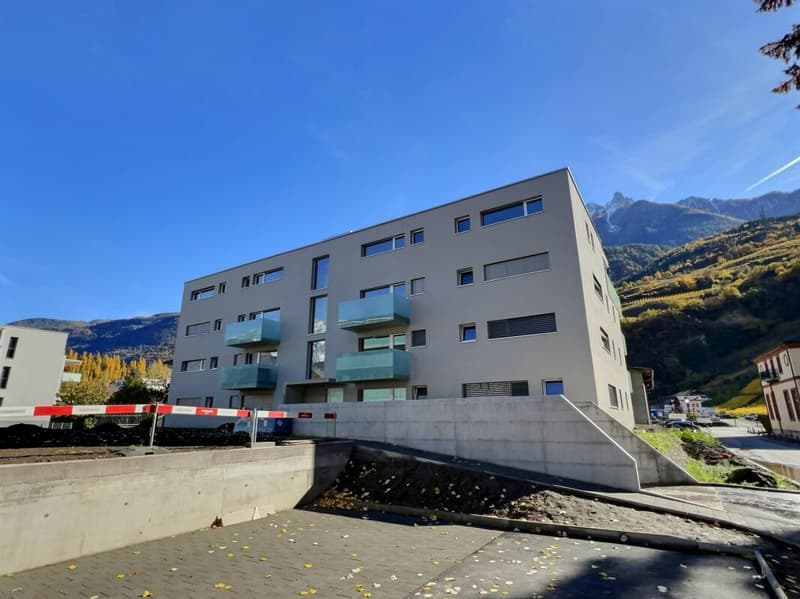Spacieux 3,5p avec grande terrasse de 30m2 (4)