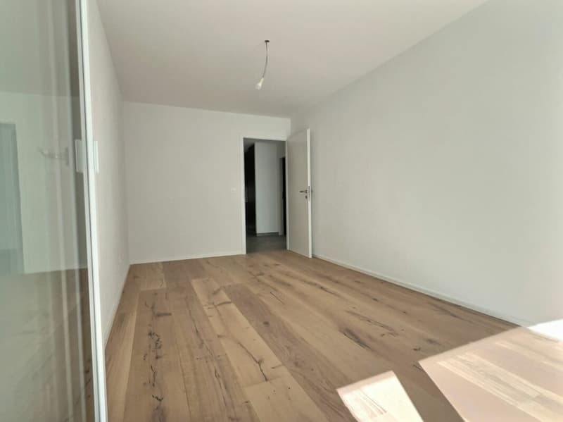 Spacieux 3,5p avec grande terrasse de 30m2 (17)