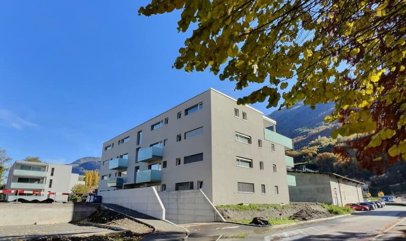 Spacieux 3,5p avec grande terrasse de 30m2 (2)