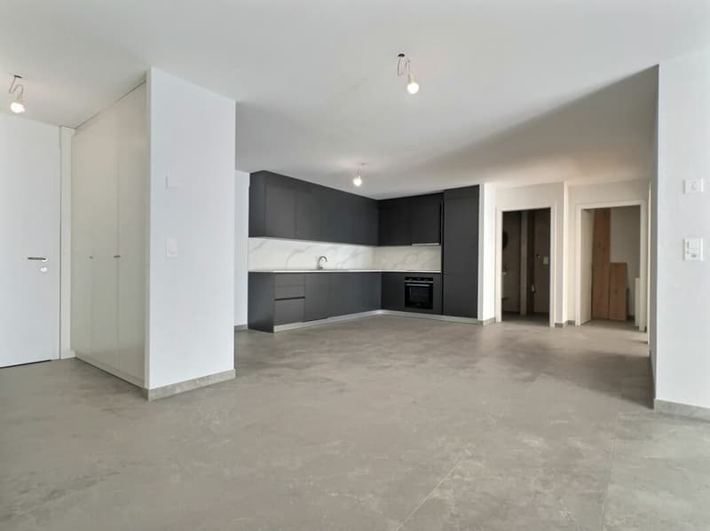 Spacieux 3,5p avec grande terrasse de 30m2 (8)