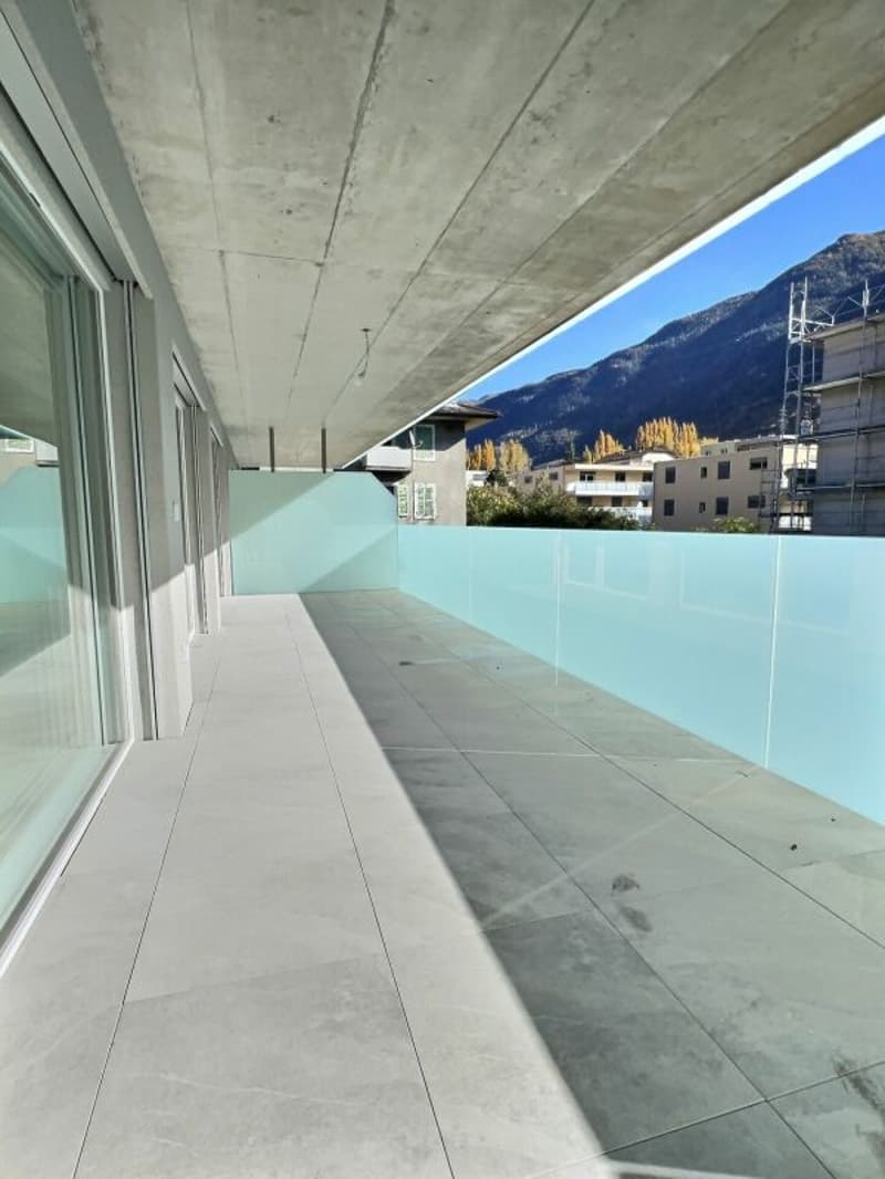 Spacieux 3,5p avec grande terrasse de 30m2 (19)