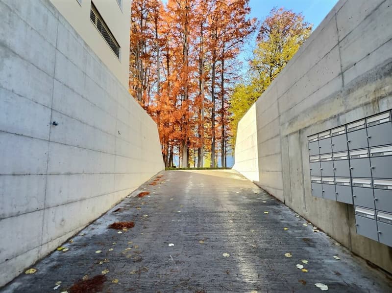 Spacieux 3,5p avec grande terrasse de 30m2 (20)