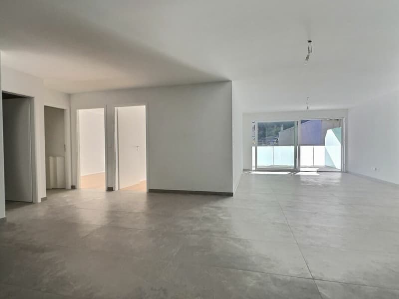 Spacieux 3,5p avec grande terrasse de 30m2 (7)