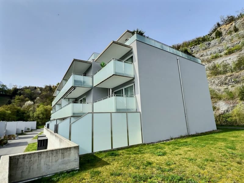 2,5p au rez avec grande terrasse (3)
