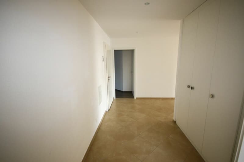 Appartement de standing de 5,5 pièces avec terrasse et vue sur le lac (23)
