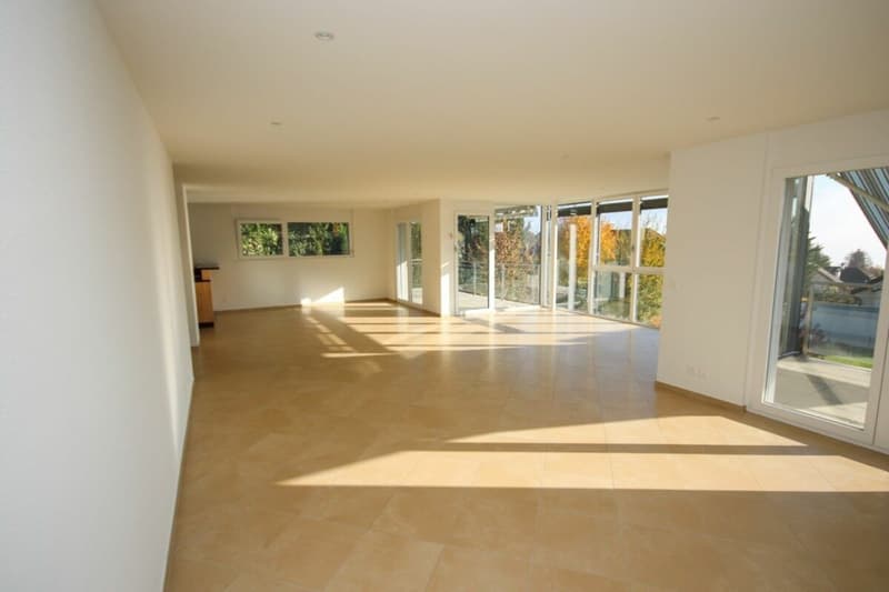 Appartement de standing de 5,5 pièces avec terrasse et vue sur le lac (10)