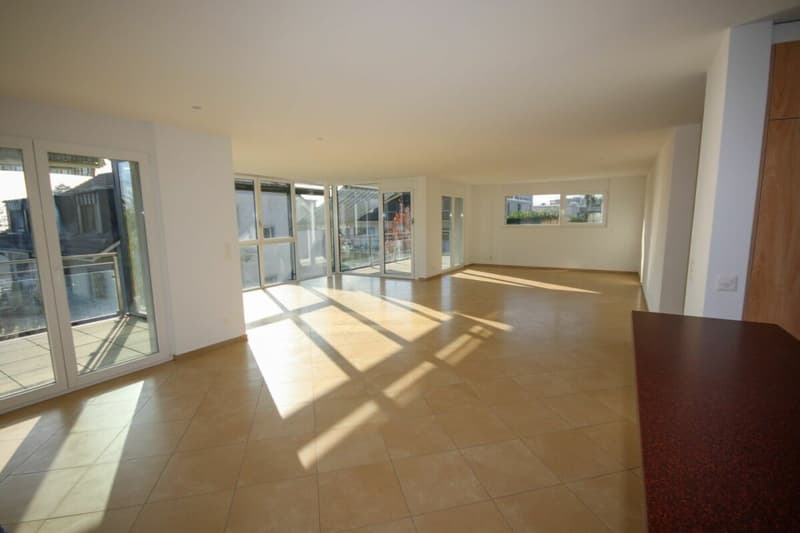 Appartement de standing de 5,5 pièces avec terrasse et vue sur le lac (9)