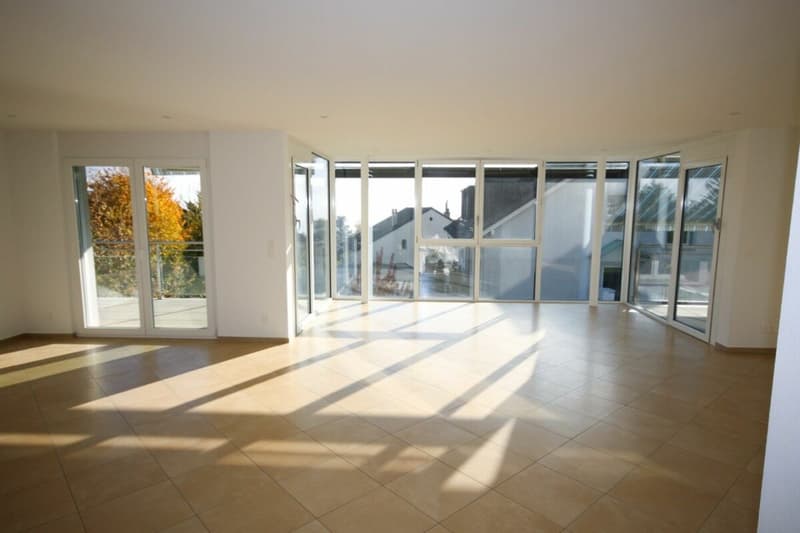Appartement de standing de 5,5 pièces avec terrasse et vue sur le lac (11)