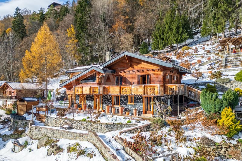 Propriété alpine d'exception aux pied des remontées mécaniques (1)