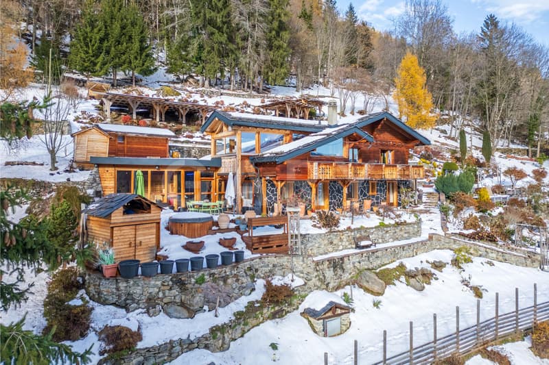 Propriété alpine d'exception aux pied des remontées mécaniques (2)