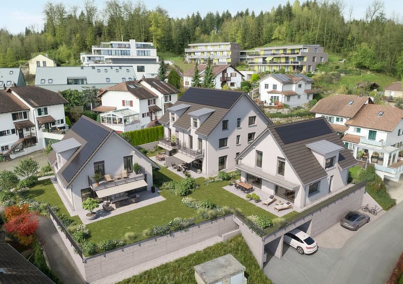 Letztes 6 1/2-Zimmer-Haus - BESICHTIGUNG DIESEN SAMSTAG (2)