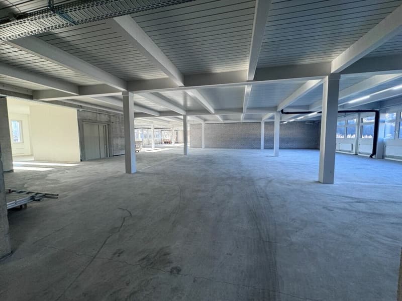 Industrial Park Plonserfeld - Commercial 3rd floor from 200m²-796m² (4)