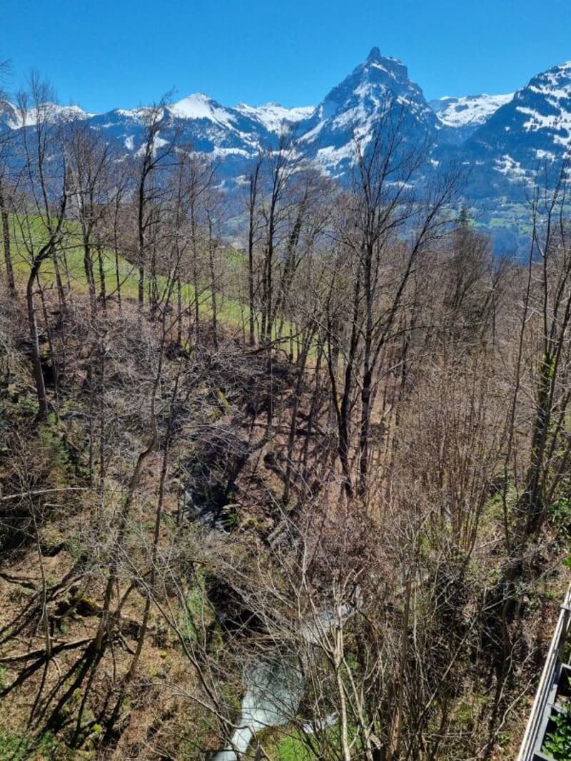 Aussicht Terrasse Untergeschoss