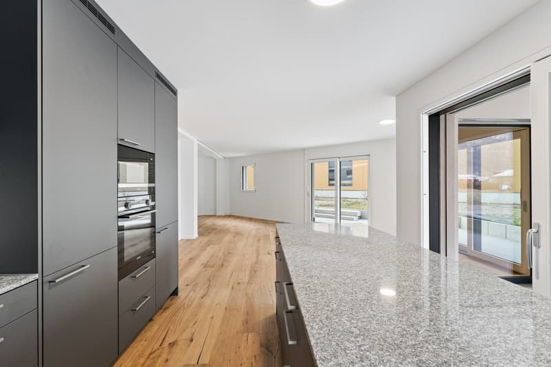 möbiliertes WG Zimmer in 5.5-Z-Gartenwohnung - Neubau (9)