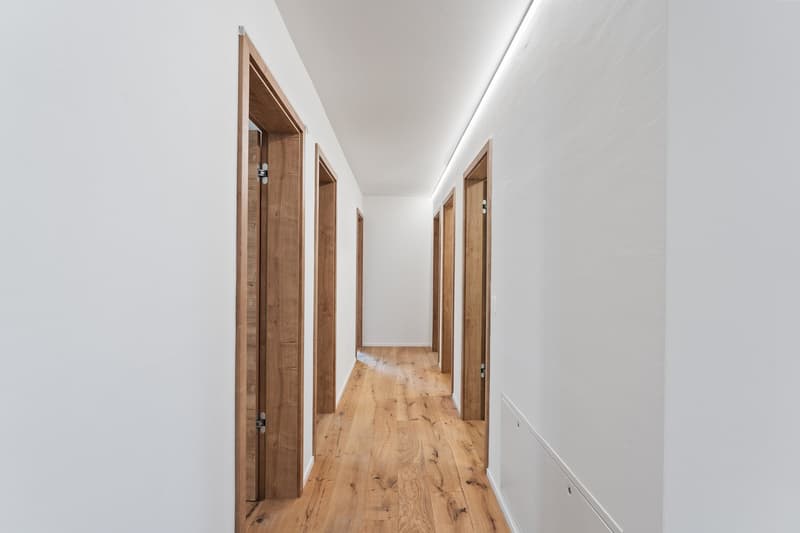 möbiliertes WG Zimmer in 5.5-Z-Gartenwohnung - Neubau (7)
