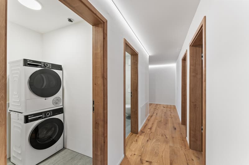 möbiliertes WG Zimmer in 5.5-Z-Gartenwohnung - Neubau (11)