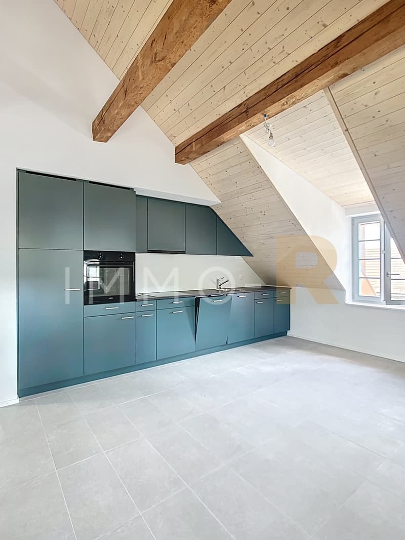 Magnifique Immeuble de rendement (4)