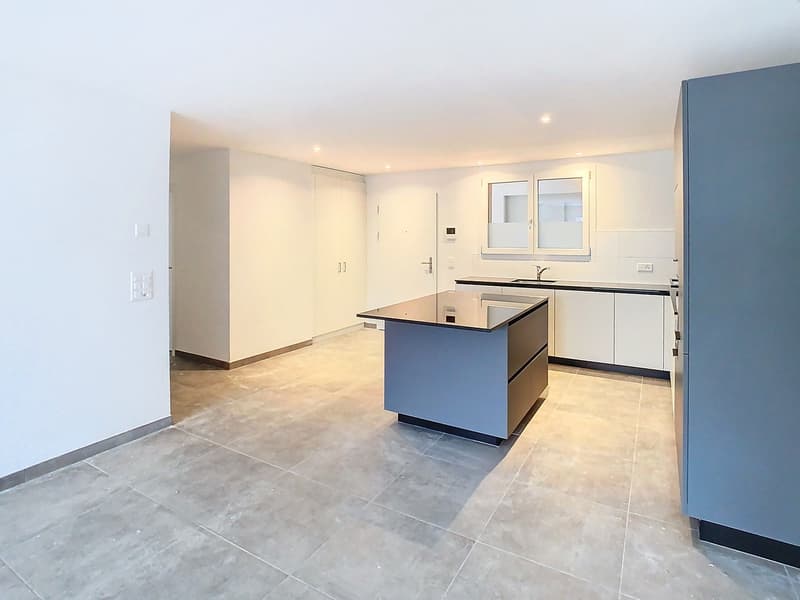 Appartements neufs  les 3 derniers appart. de 3.5pces (2)