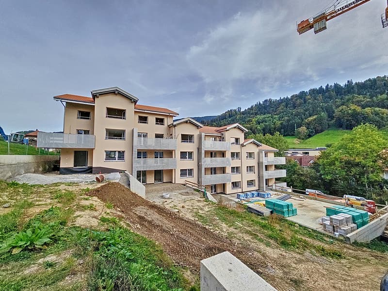 Appartements neufs  les 3 derniers appart. de 3.5pces (6)