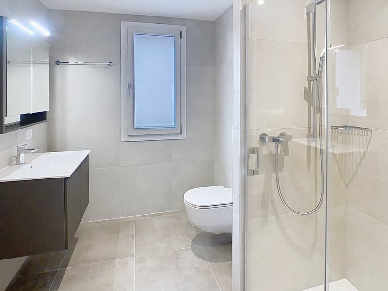 Appartements neufs  les 3 derniers appart. de 3.5pces (3)