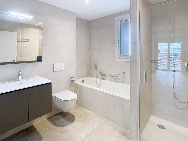 Appartements neufs  les 3 derniers appart. de 3.5pces (4)
