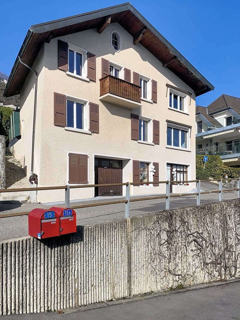 Magnifique 3.5pces (8)
