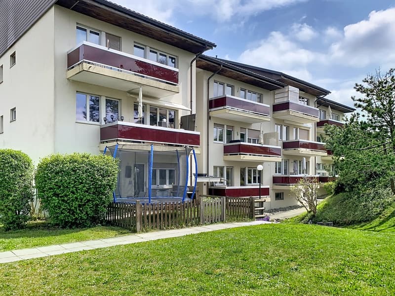 Centre de Bulle 4.5pces entièrement rénové (8)