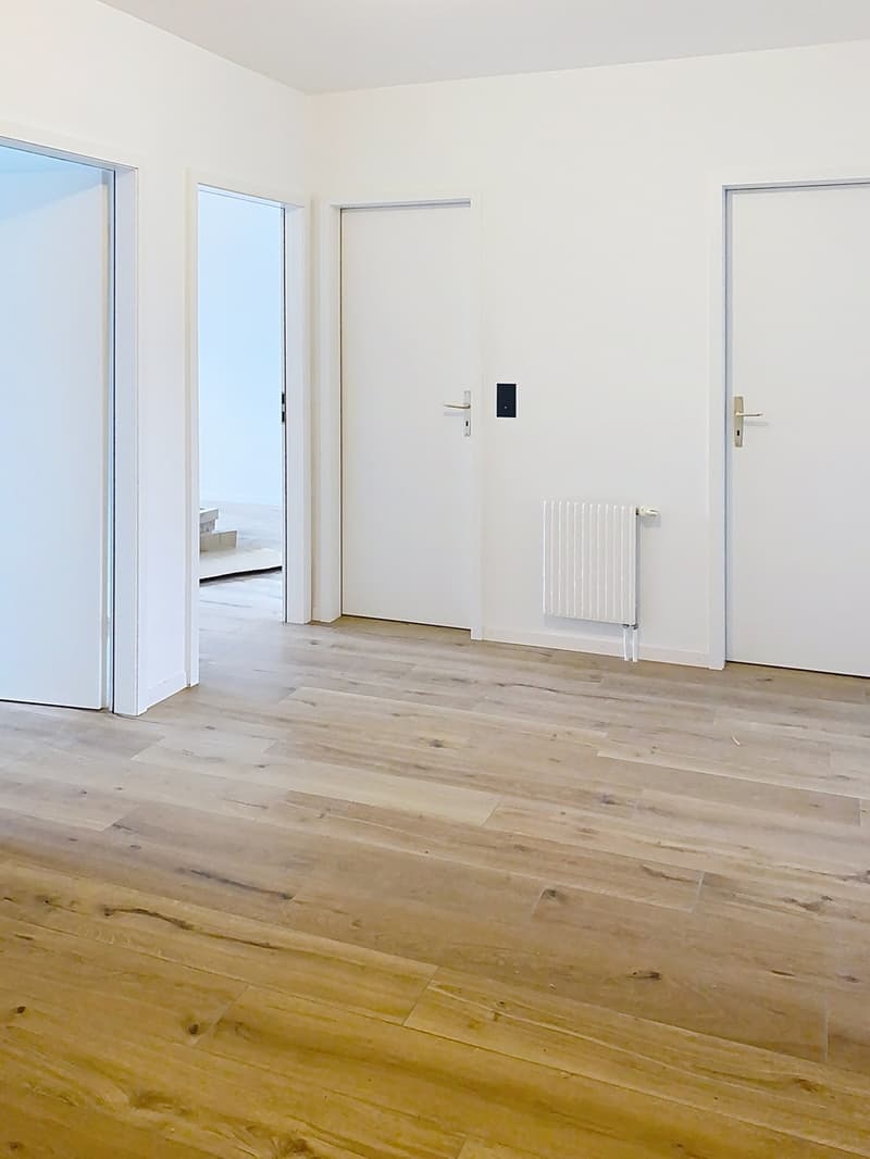 Centre de Bulle 4.5pces entièrement rénové (7)