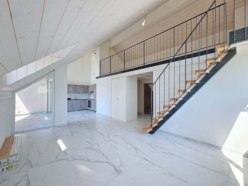 Appartement 3,5 pièces au dernier étage avec mezzanine (1)