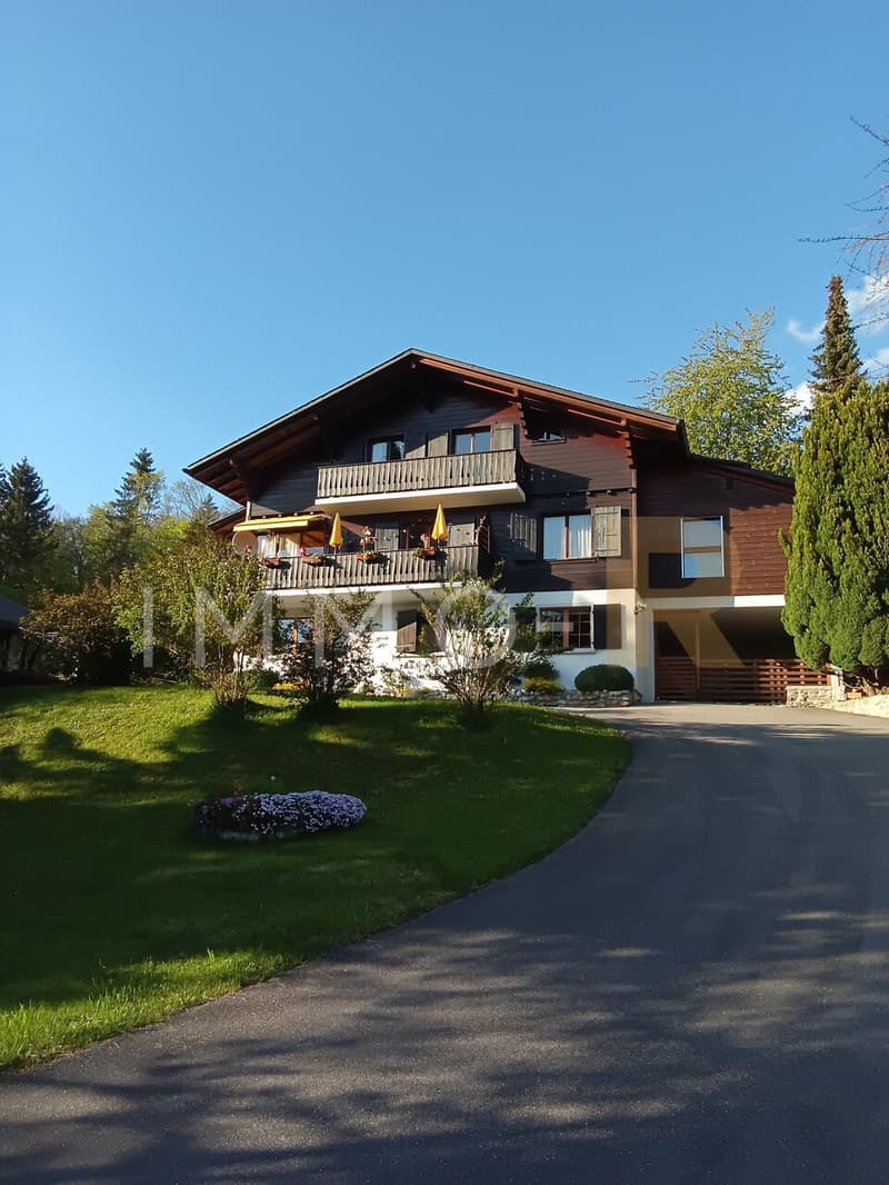 Charmant appartement 5,5 pièces dans un chalet (1)