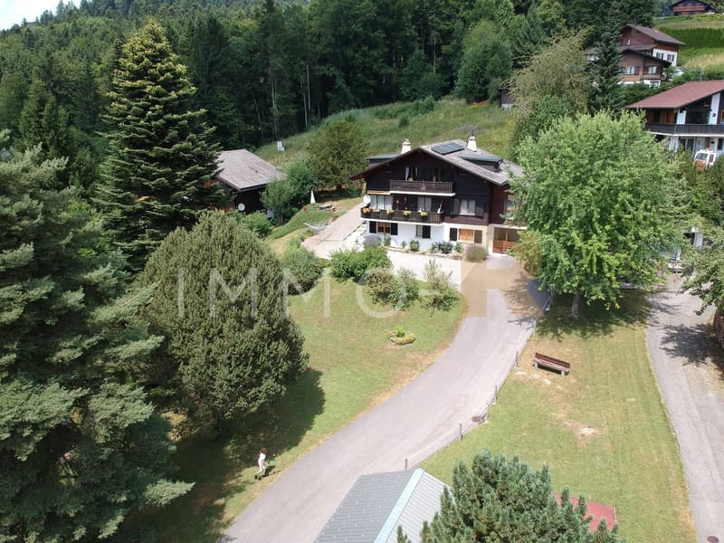 Charmant appartement 5,5 pièces dans un chalet (2)