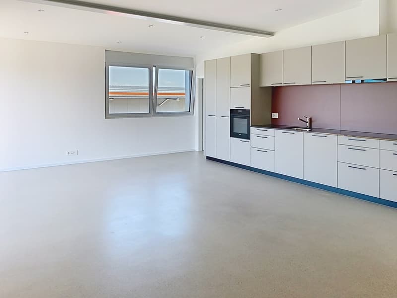 Dans zone industrielle spacieux 4.5pces (4)