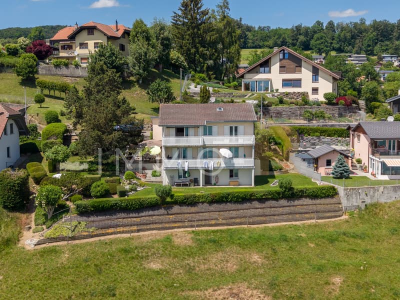 Vue exceptionnelle sur le lac et le Moléson - 2 logements (2)