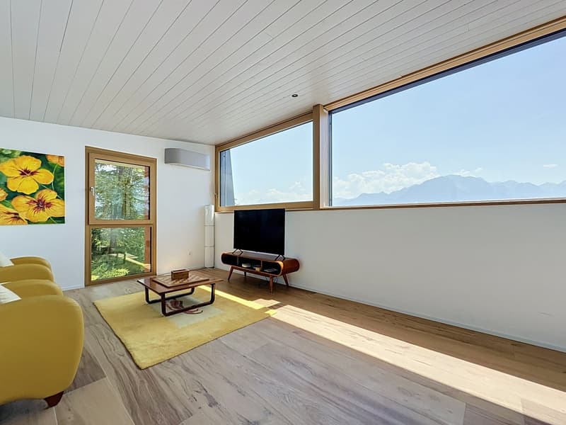 Sur les Hauts de Montreux  Splendide villa avec vue lac (10)