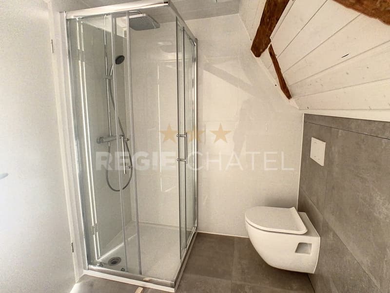 Ravissante maison individuelle (13)