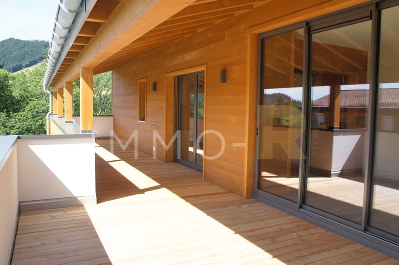 Magnifique attique 4.5pces et mezzanine (12)