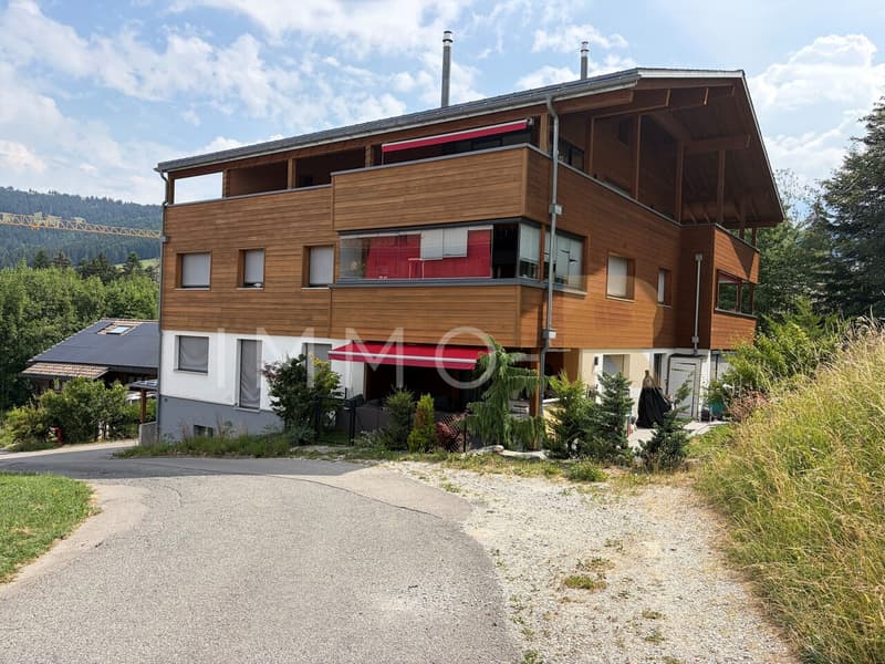 Magnifique attique 4.5pces et mezzanine (1)