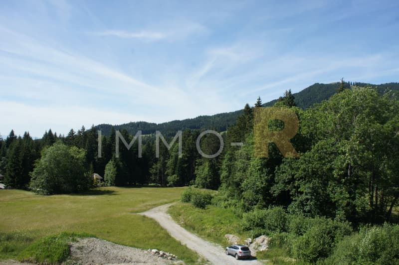 Magnifique attique 4.5pces et mezzanine (9)