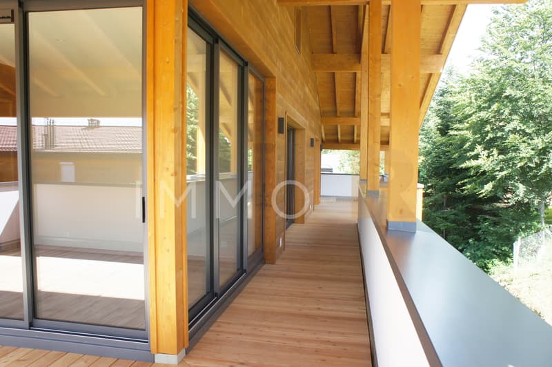 Magnifique attique 4.5pces et mezzanine (11)