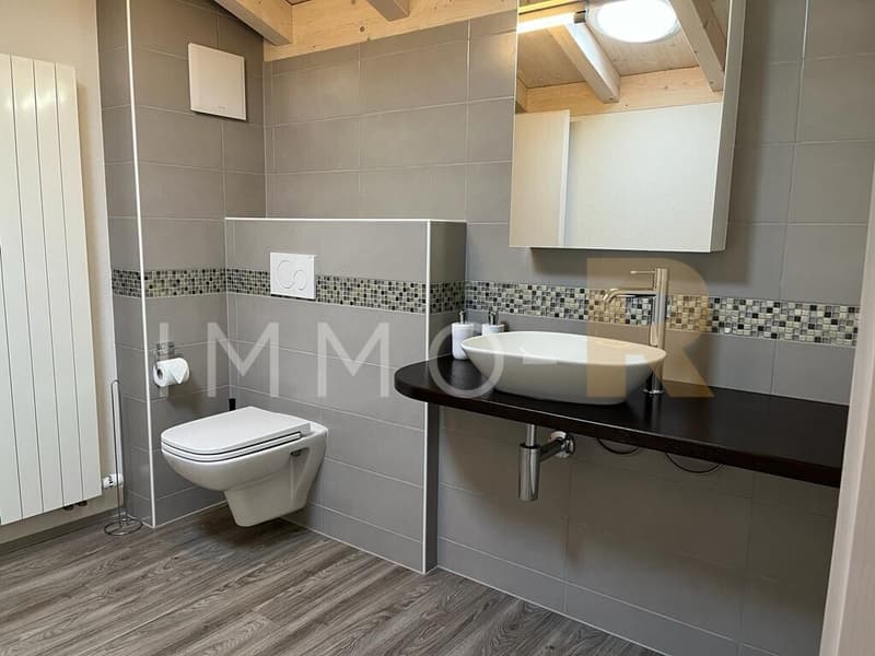Magnifique attique 4.5pces et mezzanine (7)