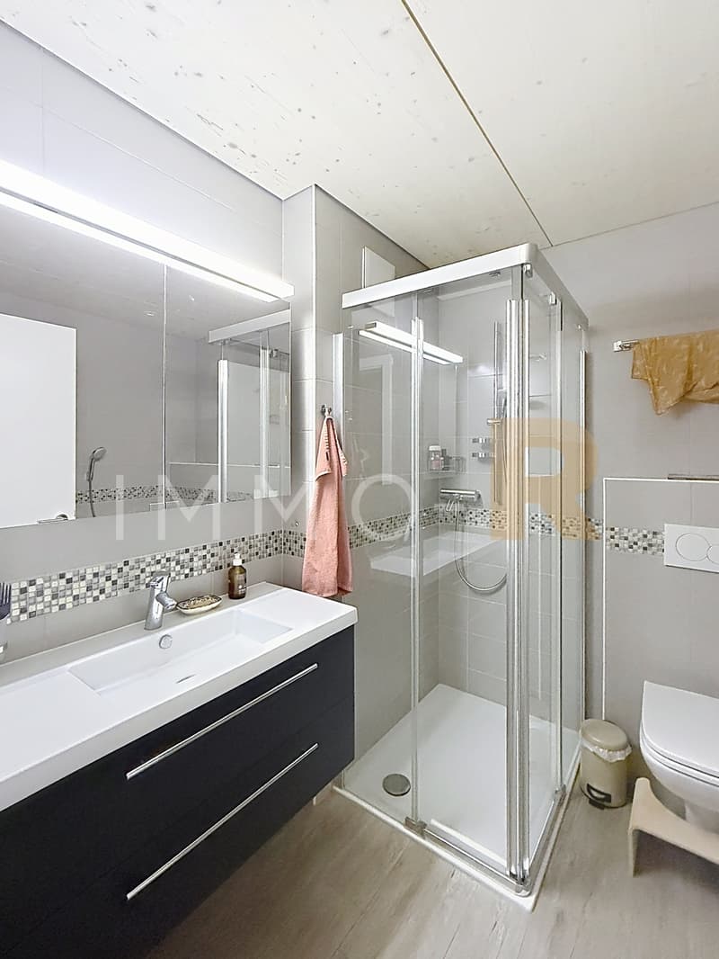 Magnifique attique 4.5pces et mezzanine (8)