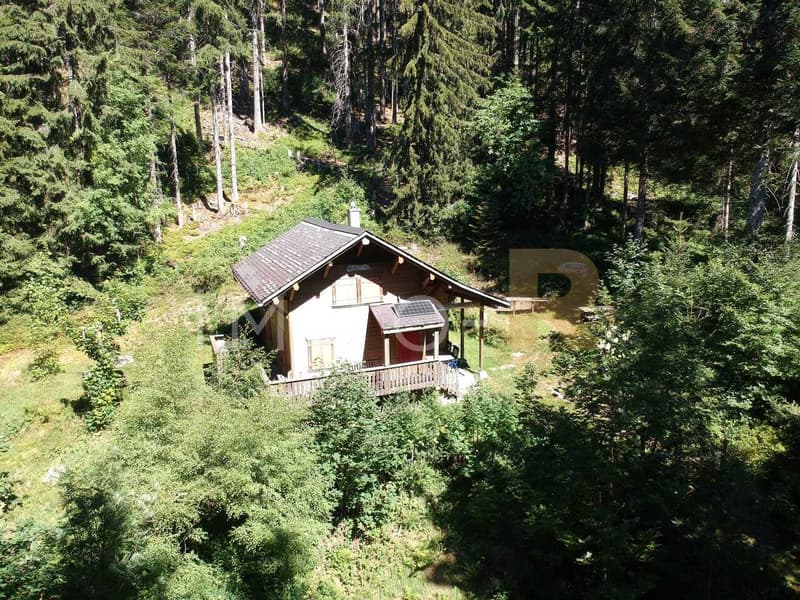 Chalet de loisirs (2)