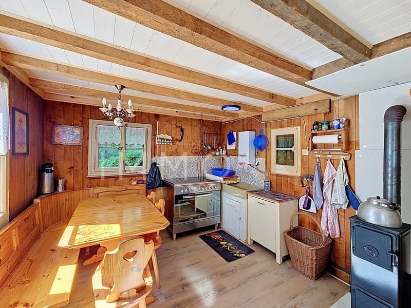 Chalet de loisirs (5)