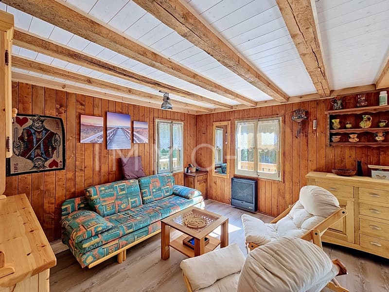Chalet de loisirs (6)