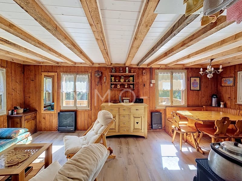 Chalet de loisirs (7)